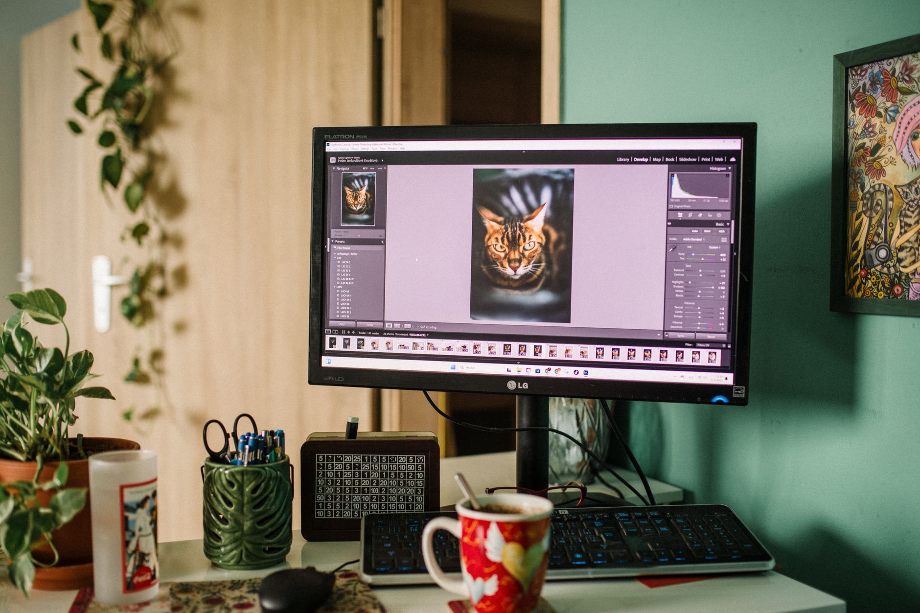 Bureau cosy avec un écran affichant un logiciel de retouche photo, entouré de plantes et de décorations.
